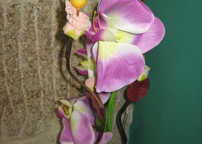 ゲストハウス Casais