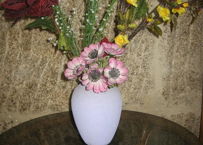 Casais ゲストハウス ヴィーゴ